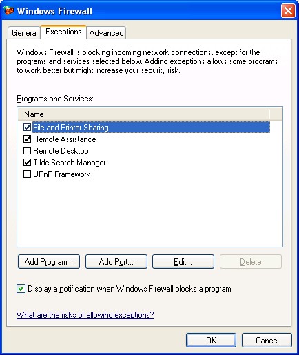 Windows Firewall exceptions tab